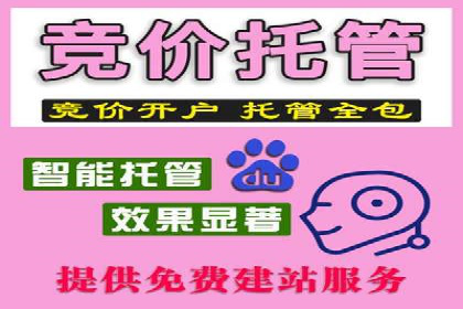 深度解析：百度推广的五大成功案例